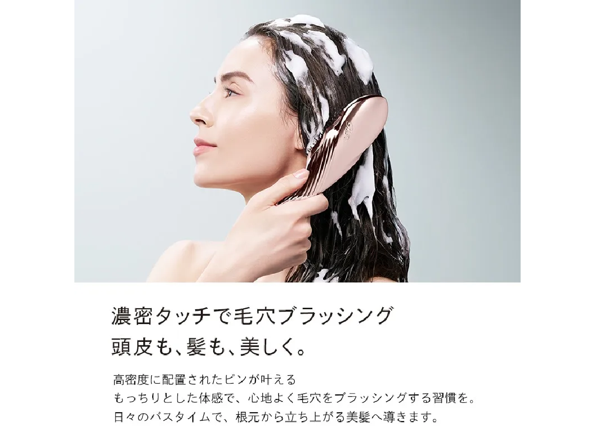 ReFa【リファ】イオンケアブラシプレミアム ION CARE BRUSH PREMIUM