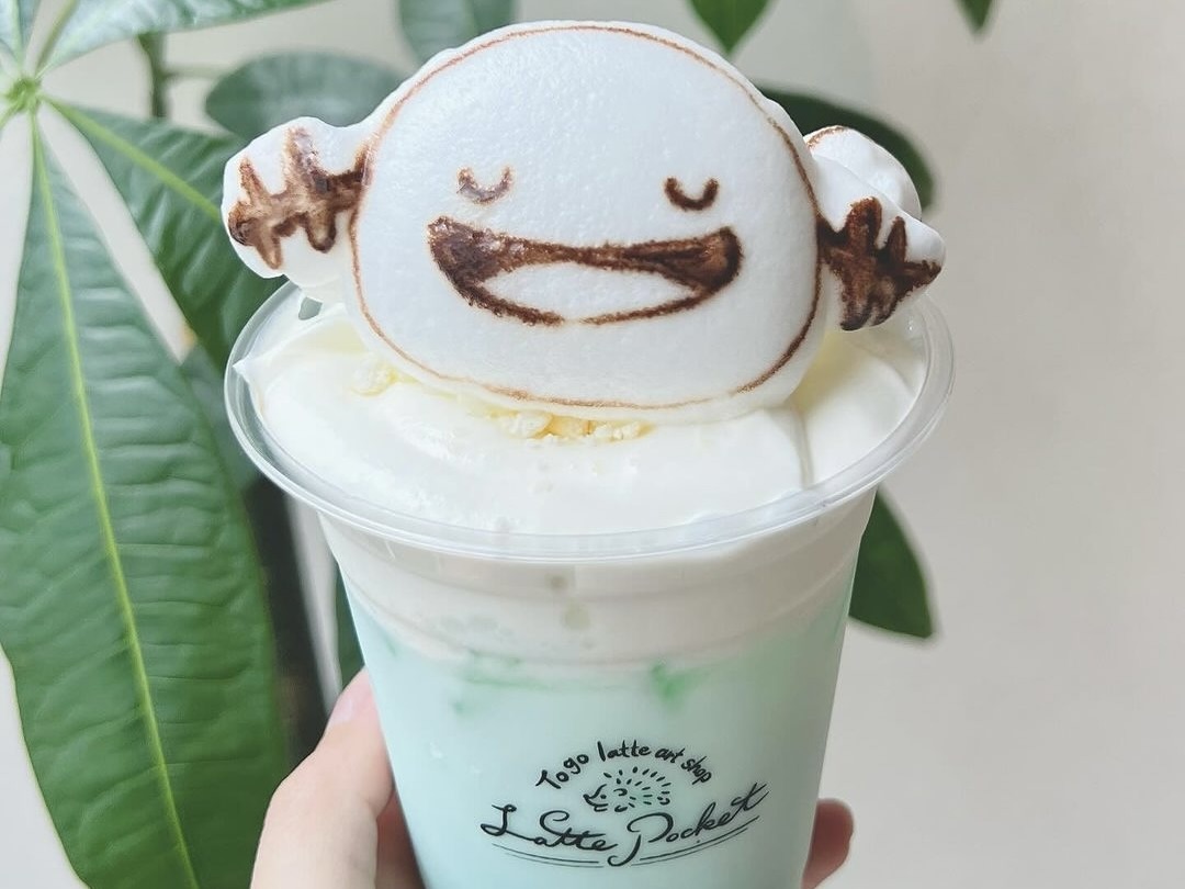 3_detail2_lattepocket_ice_pair